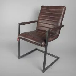 Tuoli Swan Nahka 90076 Br -Kaappi | Vitriinikaappi Ale swan 90076 19