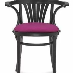 Tuoli B-165 Fameg -Kaappi | Vitriinikaappi Ale tuoli ravintolakalusteet kahvilakalusteet fameg b 165