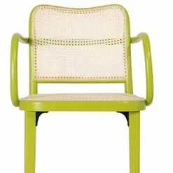 Käsinojatuoli B-811 -Kaappi | Vitriinikaappi Ale tuoli ravintolakalusteet kahvilakalusteet fameg b 811 1