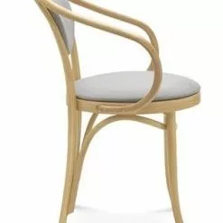 Käsinojallinen Tuoli B-9/1 Fameg