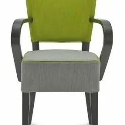 Tuoli B-9608-1 5 Tuoli B-9608-1 -Kaappi | Vitriinikaappi Ale tuoli ravintolakalusteet kahvilakalusteet fameg b 9608.1 1